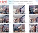 缚心室 大胸小美女的吊缚折磨！两种姿势的吊缚，郊狼直接开到100，吸乳+炮击【2.4GB】